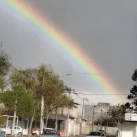 هم-خونه
