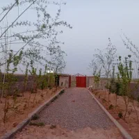 زمین باغی دوردیوار