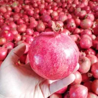 رب انار محلی و ارگانیک