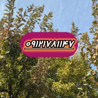 سیم کارت ک یک ۹۱۲