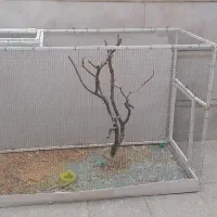 قفس فلزی بزرگ