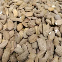 مغز|خوردنی و آشامیدنی|قم, قم نو|دیوار