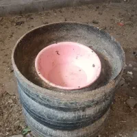 آخور گوسفندی