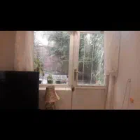 اجاره کم|اجارهٔ خانه و ویلا|شیراز, فرهنگ شهر|دیوار