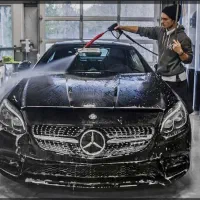 استخدام نیروی کارواش کار