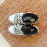 کتانی سایز 41