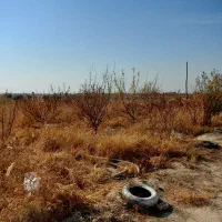 ویلا باغ تفریحی|فروش خانه و ویلا|نوشین شهر, |دیوار