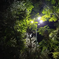 نیازمند کار درمنزل