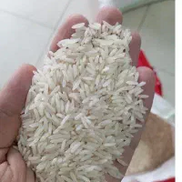 شیرودی درجه یک اعلا کاملا ارگانیک بدون سم