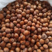 فندوق