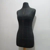 مانکن سوزن خور