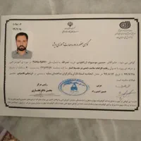 چوب ودرخت|خدمات باغبانی و درختکاری|ساوه, |دیوار