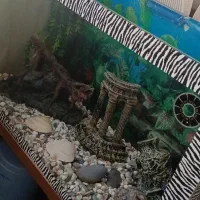 آکواریوم فروشی با تمامی وسایل