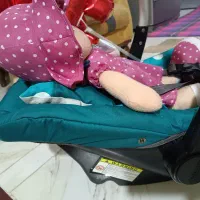 روروئک