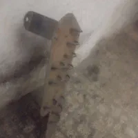 سینی باک