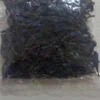 گل گاو زبان دست چین