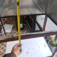 هود سالم و نو