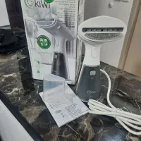اتوبخار دستی