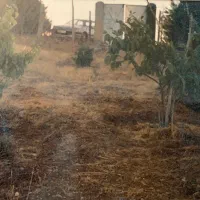 فروش-زمین