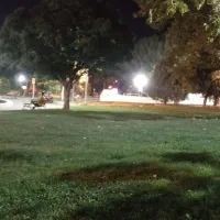 انگشتر مردانه گم کردم