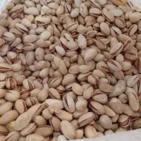 عرضه مستقیم پسته داوری