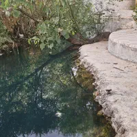 اجاره روزانه/هفتگی/ماهانه ویلا ۴۰۰۰ متری با استخر|اجارهٔ کوتاه‌مدت ویلا و باغ|کازرون, |دیوار