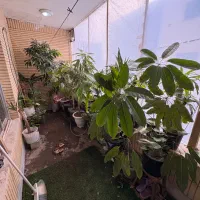 ویزیت حضوری گیاه در محل