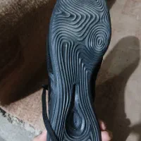 کفش سالنی تمپوایکس ۴۱