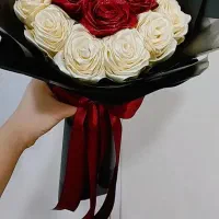 گل رز|گل و گیاه طبیعی|خرمآباد, |دیوار
