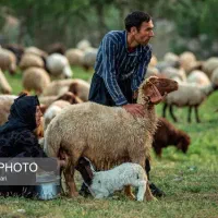 چوپان عشایری با خانواده