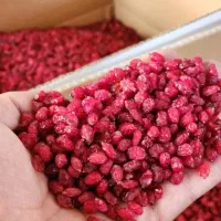 زرشک درجه 1پفکی|خوردنی و آشامیدنی|اصفهان, سعادت‌آباد|دیوار