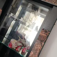 یک عدد مبل ودکوری