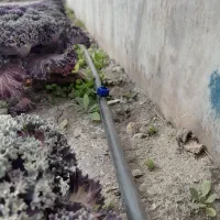 لوله کشی|خدمات پیشه و مهارت|نیریز, |دیوار