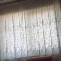 پرده دو عدد طوری|پرده، رانر، رومیزی|گرگان, |دیوار