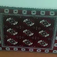 پشتی درحدنو