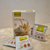 پودر جوانه گندم بین استار