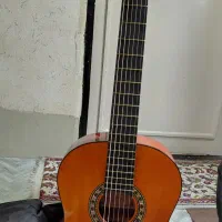 گیتار گودمن