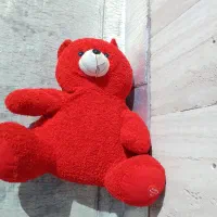 عروسک|اسباب‌‌بازی|تهران, زعفرانیه|دیوار