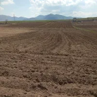 زمین-کشاورزی
