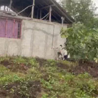 فروش زمین نسق با مدارک روستای توریستی حلیمه جان|فروش زمین و ملک کلنگی|توتکابن, |دیوار