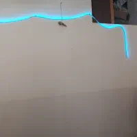 ریسه گیمنگ مولی کالر|ریسه و چراغ تزئینی|دهلران, |دیوار