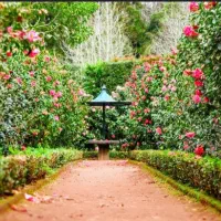 فروش-یا-تهاتر-باغ-در-منطقه-شهریار