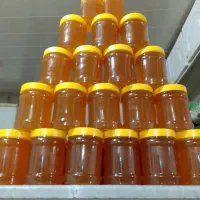 عسل اصل بدون شکر