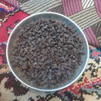 فروش کشمش آفتابی پاک شده