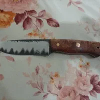 چاقو لوکس کلکسیونی|کوهنوردی و کمپینگ|قدس, شهرقدس|دیوار