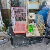 قفس پرنده
