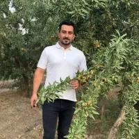 فروش نهال بادام تونو گلدانی