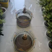 قفس طرقه قفس دست بافت سهره|لوازم جانبی حیوانات|فردیس, ثابتی|دیوار