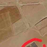 باغ انگور پشت شهرک صنعتی میاندوآب