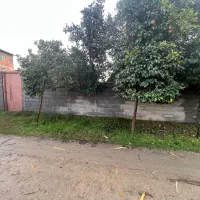 شمال سیمرغ کیاکلا